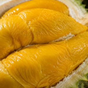 Premium Musang King Durian Box (300g)