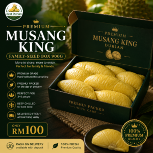 family sized premium musang king box 900g