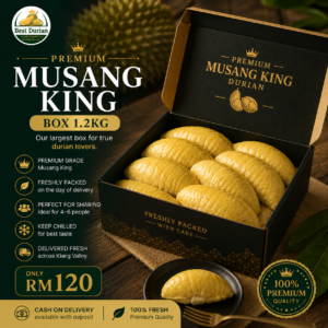 premium musang king box 1.2kg